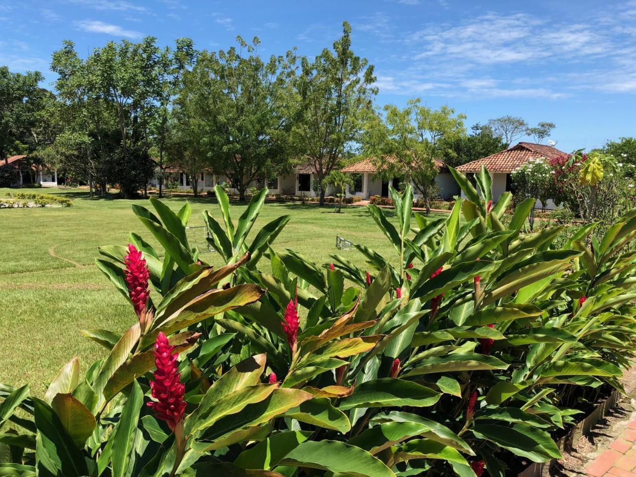 Hotel Campestre Arboretto Villavicencio Buitenkant foto